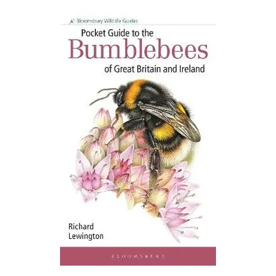 Pocket Guide to the Bumblebees of Great Britain and Ireland - Lewington, Richard