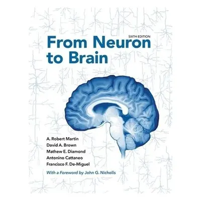 From Neuron to Brain - Martin, A. Robert a Brown, David A. a Diamond, Mathew E. a Cattaneo, Anto