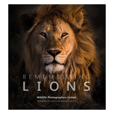 Remembering Lions