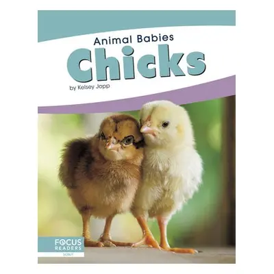 Animal Babies: Chicks - Jopp, Kelsey