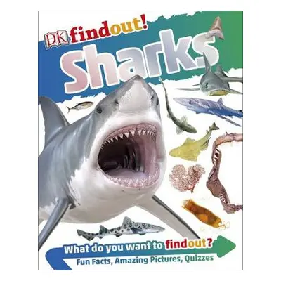 DKfindout! Sharks - DK