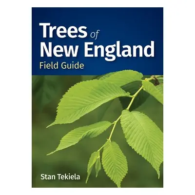 Trees of New England Field Guide - Tekiela, Stan