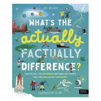 What's the Actually Factually Difference? - Wilsher, Jane