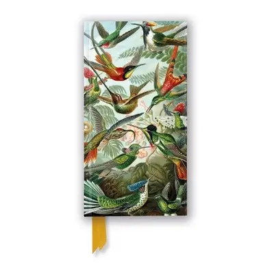 Ernst Haeckel: Hummingbirds (Foiled Slimline Journal)