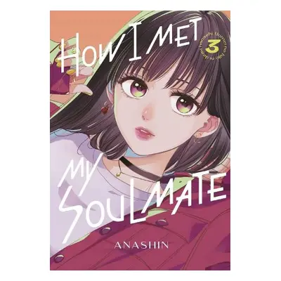 How I Met My Soulmate 3 - Anashin