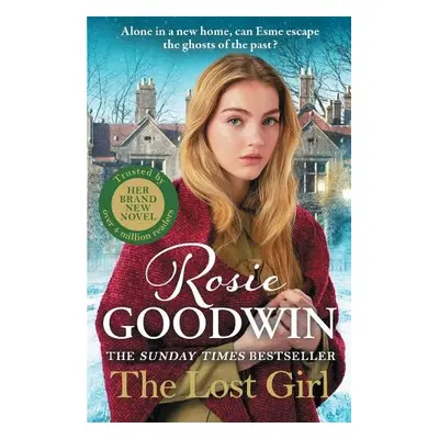 Lost Girl - Goodwin, Rosie