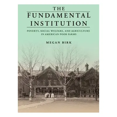 Fundamental Institution - Birk, Megan