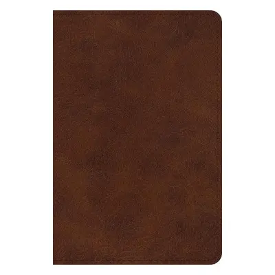 ESV Large Print Bible