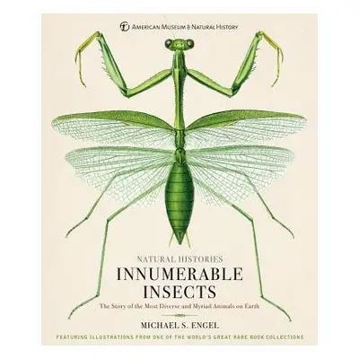 Innumerable Insects - Engel, Michael S.