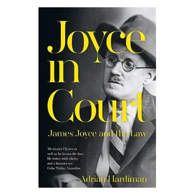 Joyce in Court - Hardiman, Adrian