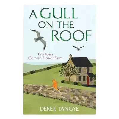 Gull on the Roof - Tangye, Derek