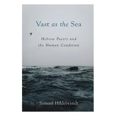 Vast as the Sea - Hildebrandt, Samuel