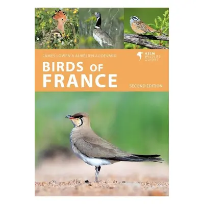 Birds of France - Lowen, James a Audevard, Aurelien