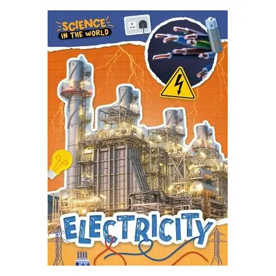 Electricity - Brundle, Joanna