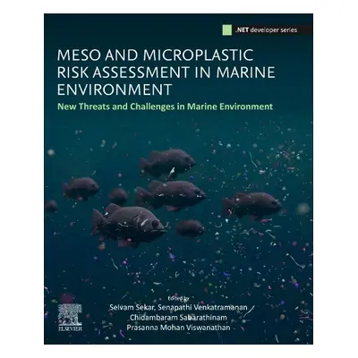 Meso- and Microplastic Risk Assessment in Marine Environments