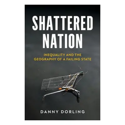 Shattered Nation - Dorling, Danny