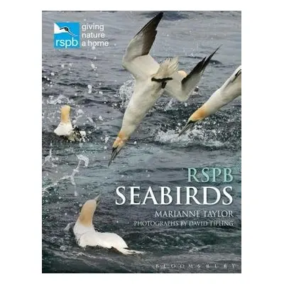 RSPB Seabirds - Taylor, Marianne