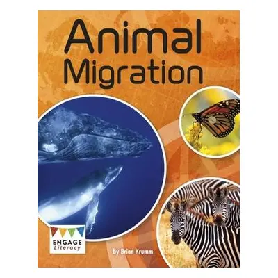 Animal Migration - Krumm, Brian