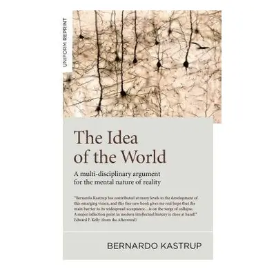 Idea of the World, The - Kastrup, Bernardo