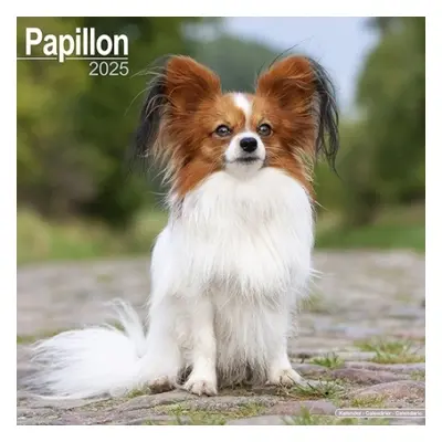 Papillon Calendar 2025 Square Dog Breed Wall Calendar - 16 Month