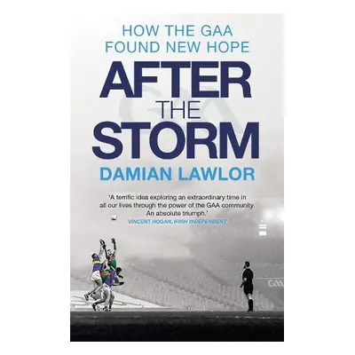 After the Storm - Lawlor, Damian