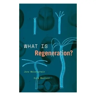 What Is Regeneration? - Maienschein, Jane a MacCord, Kate