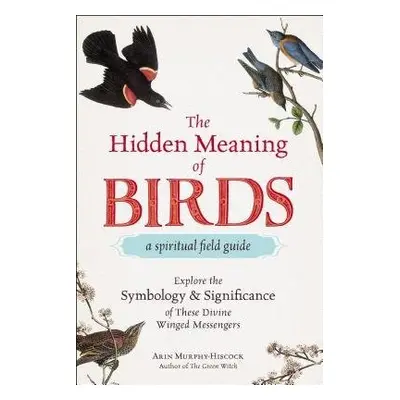 Hidden Meaning of Birds--A Spiritual Field Guide - Murphy-Hiscock, Arin