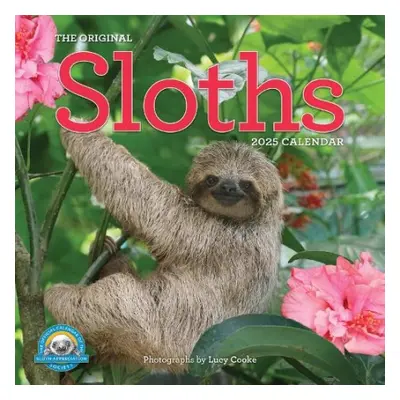 Original Sloths Wall Calendar 2025 - Cooke, Lucy a Calendars, Workman