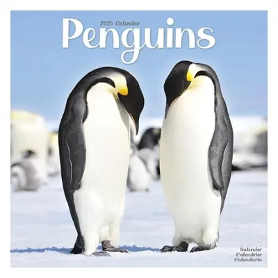 Penguins Calendar 2025 Square Animal Wall Calendar - 16 Month