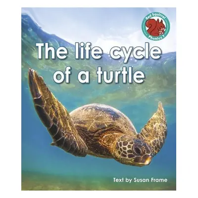 life cycle of a turtle - Frame, Susan