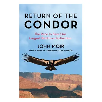 Return of the Condor - Moir, John