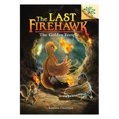 Secret Maze: A Branches Book (The Last Firehawk #10)