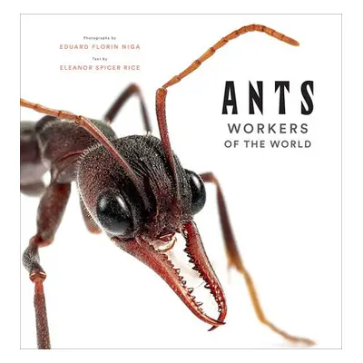 Ants: Workers of the World - Rice, Eleanor Spicer