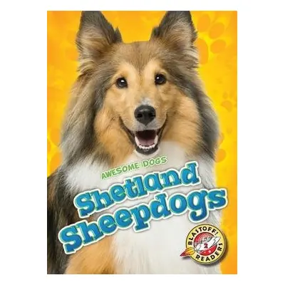 Shetland Sheepdogs - Leaf, Christina