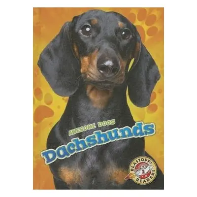 Dachshunds - Schuh, Mari C