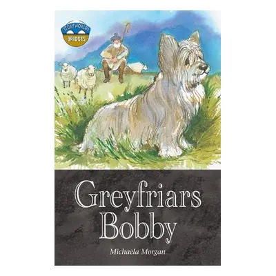 Storyworlds Bridges Stage 12 Greyfriars Bobby (single) - Morgan, Michaela