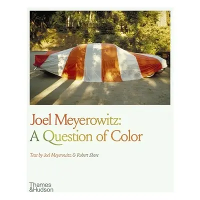 Joel Meyerowitz: A Question of Color