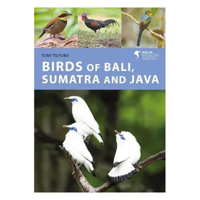 Birds of Bali, Sumatra and Java - Tilford, Tony