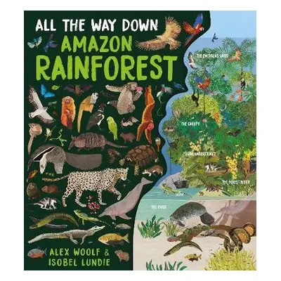 All The Way Down: Amazon Rainforest - Woolf, Alex