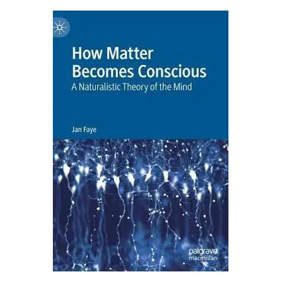 How Matter Becomes Conscious - Faye, Jan