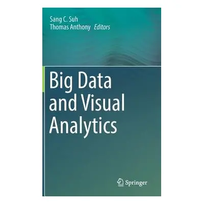 Big Data and Visual Analytics