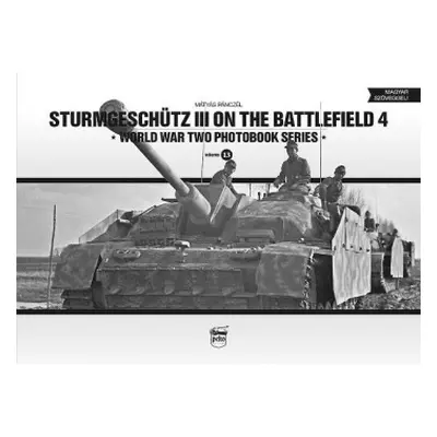 Sturmgeschutz III on the Battlefield 4 - Panczel, Matyas