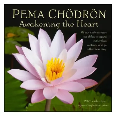 Pema Chodron 2025 Wall Calendar - Chodron, Pema a Amber Lotus Publishing