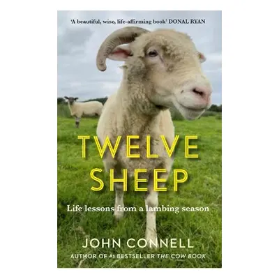 Twelve Sheep - Connell, John