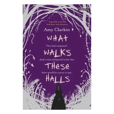 What Walks These Halls - Clarkin, Amy