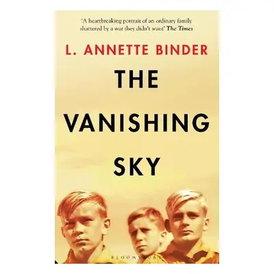 Vanishing Sky - Binder, L. Annette