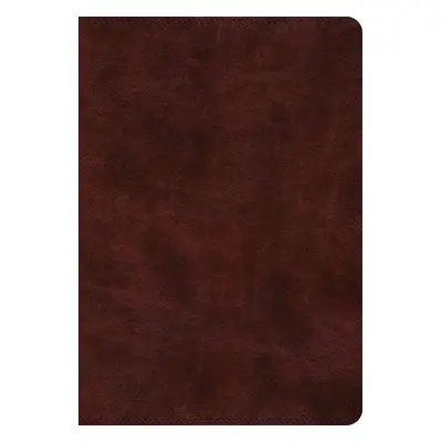 ESV Super Giant Print Bible