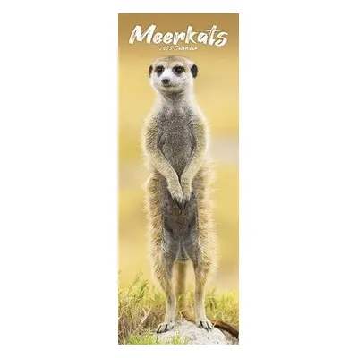 Meerkats Slim Calendar 2025 Cute Slimline Calendar - 12 Month