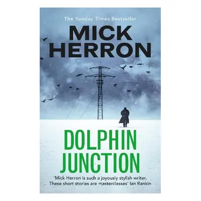 Dolphin Junction - Herron, Mick