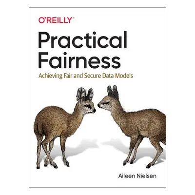 Practical Fairness - Nielsen, Aileen